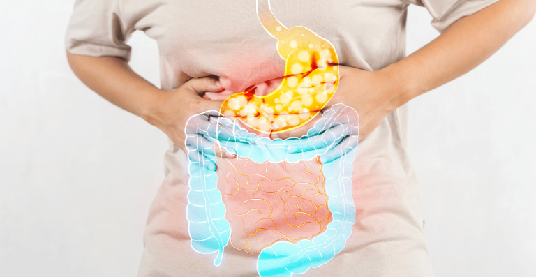 Illustration of digestive system showing gut and hormone connection