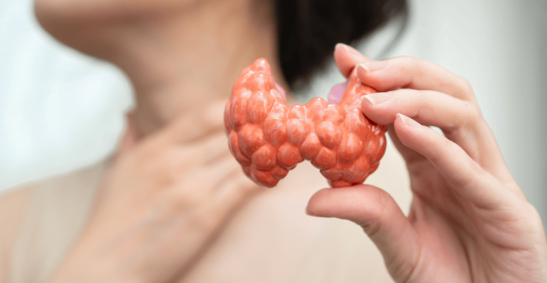 Person holding thyroid gland model while touching neck